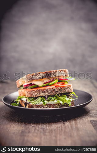 Sandwich with salmon and fresh vegetables