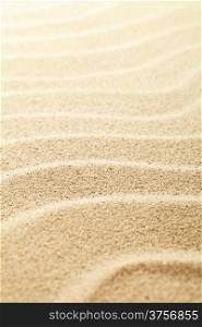 Sandy background. Sand beach texture for summer. Macro shot. Copy space
