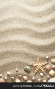 Sandy background with shells and starfish. Summer concept. Top view