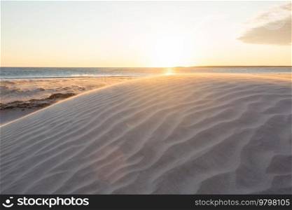 Sandy beach and dunes on the ocean coast. Baja California, Mexico