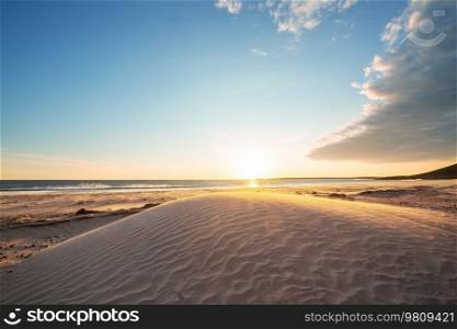Sandy beach and dunes on the ocean coast. Baja California, Mexico