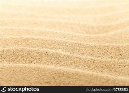 Sandy beach background for summer composition. Sand texture. Macro shot. Copy space