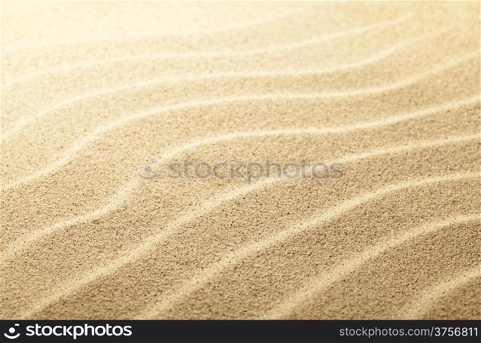 Sandy beach background. Sand close up view. Focus on center