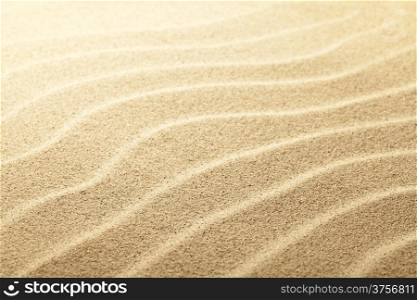 Sandy beach background. Sand close up view. Focus on center