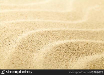Sandy beach background. Top view. Copy space