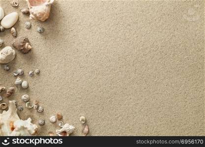 Sandy beach background with shells. Copy space. Top view. Sandy Beach Background with Shells