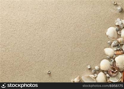 Sandy beach background with shells. Copy space. Top view. Sandy Beach Background with Shells