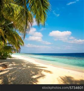 Sandy beach in the Maldives on a sunny day