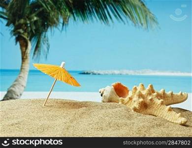 sandy beach on the tropical coast