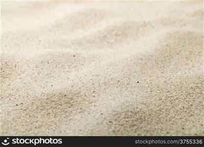 Sandy beach. Sand texture for background. Copy space