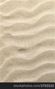 Sandy beach texture for background. Top view