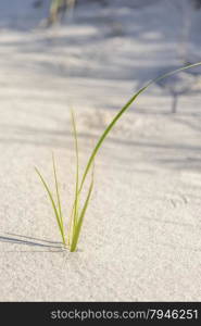 Sandy beach.. View of a sandy beach.