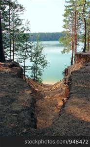 Sandy cliff near forest lake. Sandy ravine in pine forest near beautiful lake. Streams of water eroded shore of forest lake. Consequences of heavy rains. Natural disaster aftermath. Streams of water eroded shore of forest lake