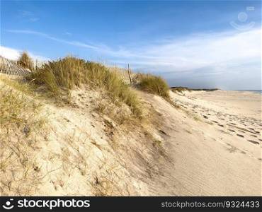 Sandy dunes landscape on Furadouro beach, Ovar - Portugal.
