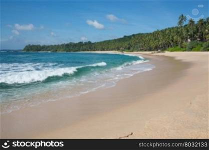 Sandy paradise beach with coconut palms, golden sand and emerald green water on the edge of Indian Ocean, Southern Province, Sri Lanka, Asia.