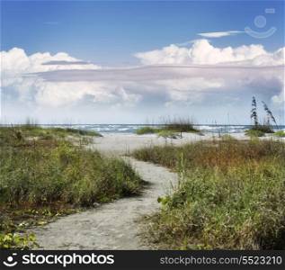 Sandy Path To The Beach