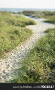Sandy pathway to beach on Bald Head Island, North Carolina.