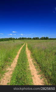 sandy road on summer field