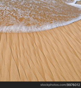 Sandy seashore. Beautiful background. The concept is travel.