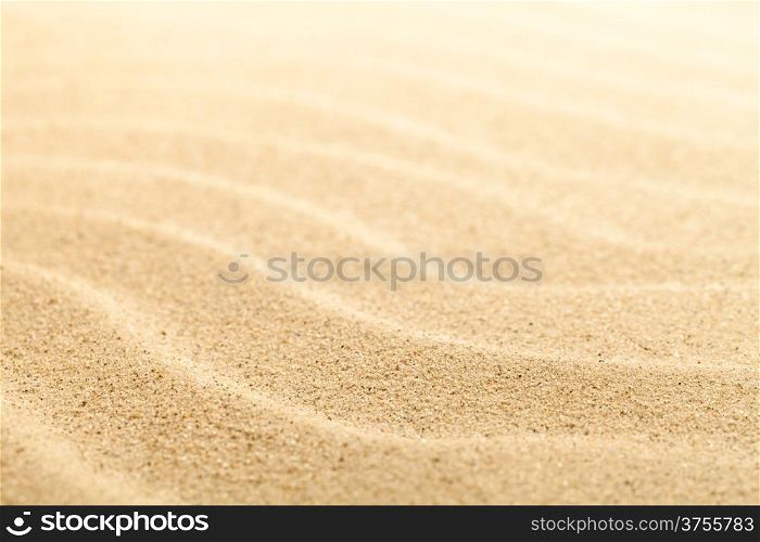 Sandy texture for background. Sandy beach. Macro shot