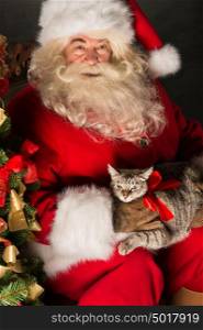 Santa Claus making a most wanted gift to a child - he gives tabby cat to new owners. Santa placing cute cat near Christmas tree