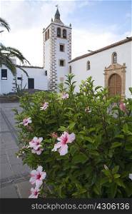 Santa Maria de Betancuria church, Betancuria, Fuerteventura, Canary Islands, Spain