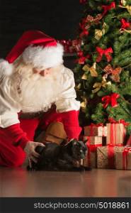 Santa meeting big black cat at home where he bring gifts to