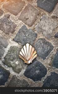 Santiago shell (Pilgrims shell), St James shell in Brussels, Belgium