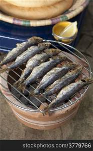 Sardines on a Moroccan barbecue in the garden