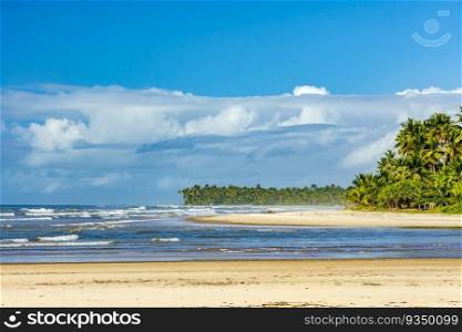 Sargi beach surrounded by coconut trees and native vegetation in Serra Grande on the south coast of Bahia. Sargi beach surrounded by coconut trees and native vegetation