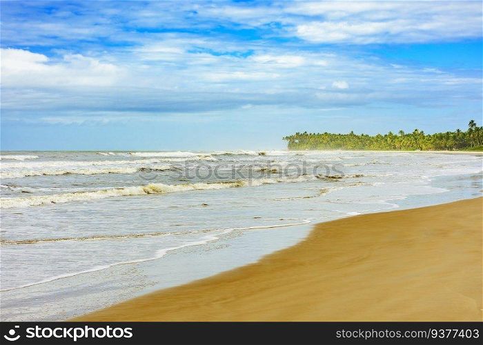 Sargi beach with coconut trees next to the sea and sand in Serra Grande on the coast of Bahia. Sargi beach with coconut trees next to the sea