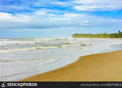 Sargi beach with coconut trees next to the sea and sand in Serra Grande on the coast of Bahia. Sargi beach with coconut trees next to the sea