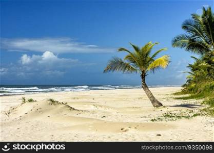 Sargi beach with its coconut trees on the sand on a sunny summer day in the city of Serra Grande on the coast of Bahia. Sargi beach with its coconut trees on the sand on a sunny summer day