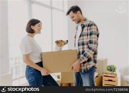 Satisfied lovely family couple carry carton box with their domestic pet, move in new dwelling prepare for celebration of relocation invite friends in flat busy unpacking property, stand at living room