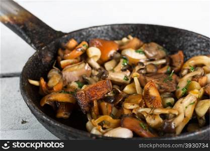 Sauteed wild mushrooms with garlic and parsley