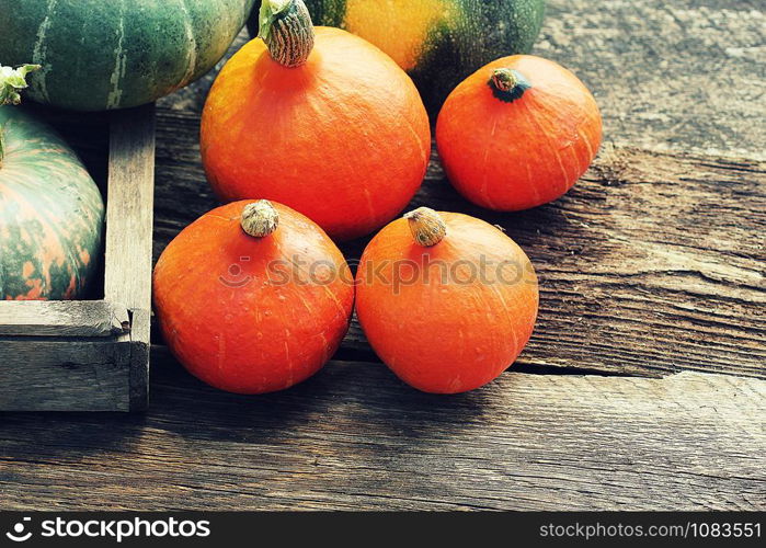 Save Download Preview Autumn pumpkin Thanksgiving background concept . Orange and green pumpkins in wooden box on rustic table