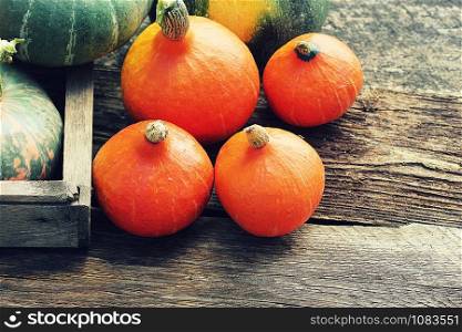 Save Download Preview Autumn pumpkin Thanksgiving background concept . Orange and green pumpkins in wooden box on rustic table