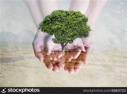 Save green environment with tree planting on family&rsquo;s hands over deforested landscape. Double exposure ecology concept.