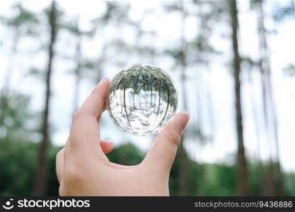 Save world. Earth day. Energy saving. save world concept. Crystal glass ball in Nature Pine Park