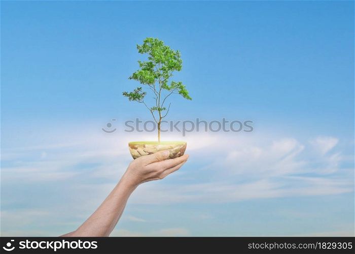 Saving Earth concept. Human hand holding Globe with a tree over blue sky background. Elements of this image furnished by NASA