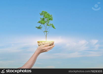 Saving Earth concept. Human hand holding Globe with a tree over blue sky background. Elements of this image furnished by NASA