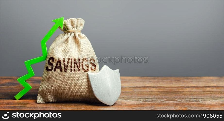 Savings bag, green up arrow and shield. Protection funds and investments, security garnishment and augmentation. Deposit at bank. Profitable safe investment. Economic stability and prosperity. Pension