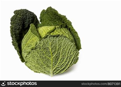 Savoy Cabbage (close-up shot) isolated on white background. Savoy (isolated On White)