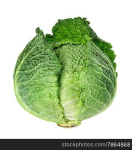 Savoy cabbage isolated on white