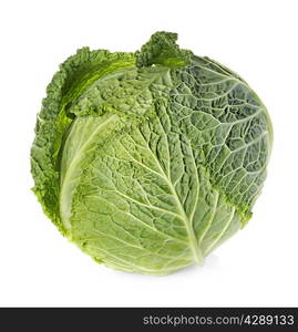 Savoy cabbage isolated on white background