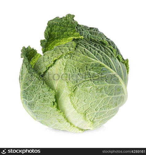 Savoy cabbage isolated on white background