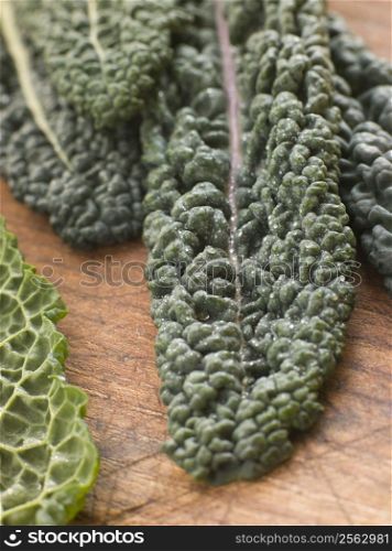 Savoy cabbage leaves