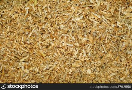 Sawdust as background