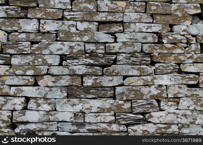 Sawn slate making up dry stone wall. With algae.