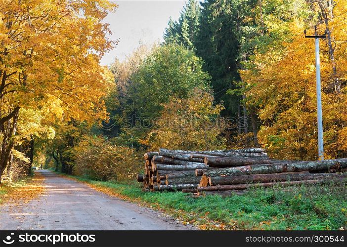 sawn trees on the road, autumn forest and tree felling. autumn forest and tree felling, sawn trees on the road